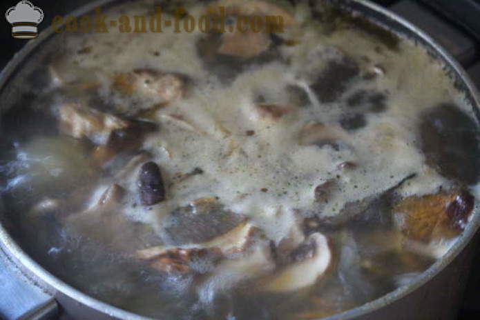 Zakarpatská polievka z bielych húb - ako variť polievku s bielymi hubami chutné, s krok za krokom recept fotografiách