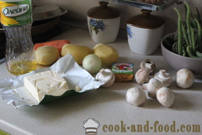 Hubová polievka so syrom - ako variť syr polievka s hubami hneď rýchlo chutné, sa krok za krokom recept fotografiách