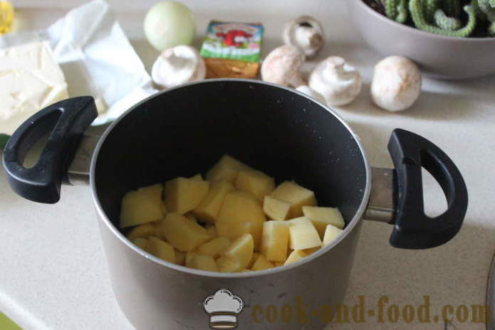 Hubová polievka so syrom - ako variť syr polievka s hubami hneď rýchlo chutné, sa krok za krokom recept fotografiách