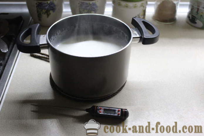 Domáce jogurt z mlieka kvasiť - ako robiť jogurt doma krok za krokom recept fotografiách