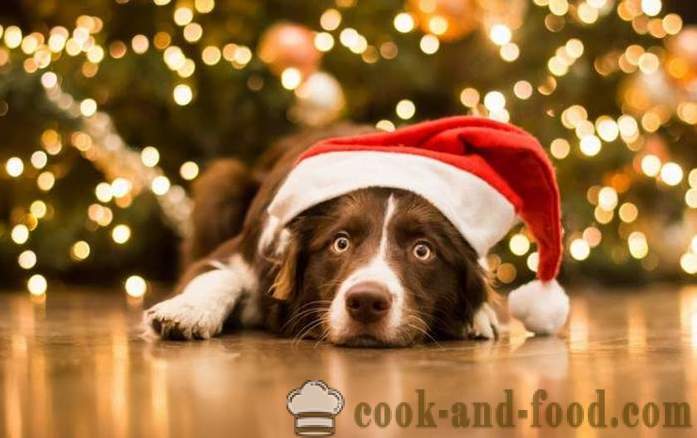 Jednoduché nápady novoročné výzdoba ročníka Zlatých Zemný psi na východnom kalendári, s fotografiou