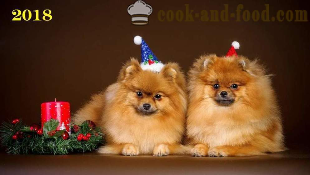 Zadarmo Vianočné tapety 2018 psi, psy a šteňatá - k stiahnutiu tapety na ploche zdarma
