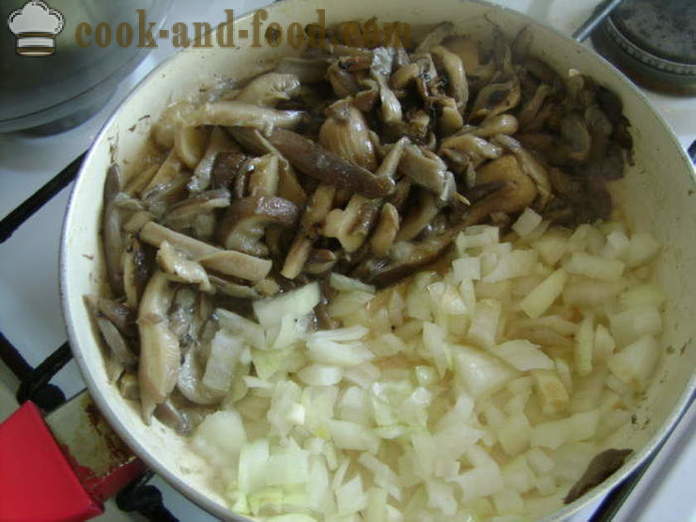 Bezmäsité leniví kapustové závitky v rúre - ako variť lahodný lenivé Holubcom v rúre, sa krok za krokom recept fotografiách
