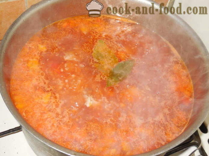 Diétne polievka vývar morčacie so zeleninou - ako variť lahodný morčacie polievka, krok za krokom recept fotografiách