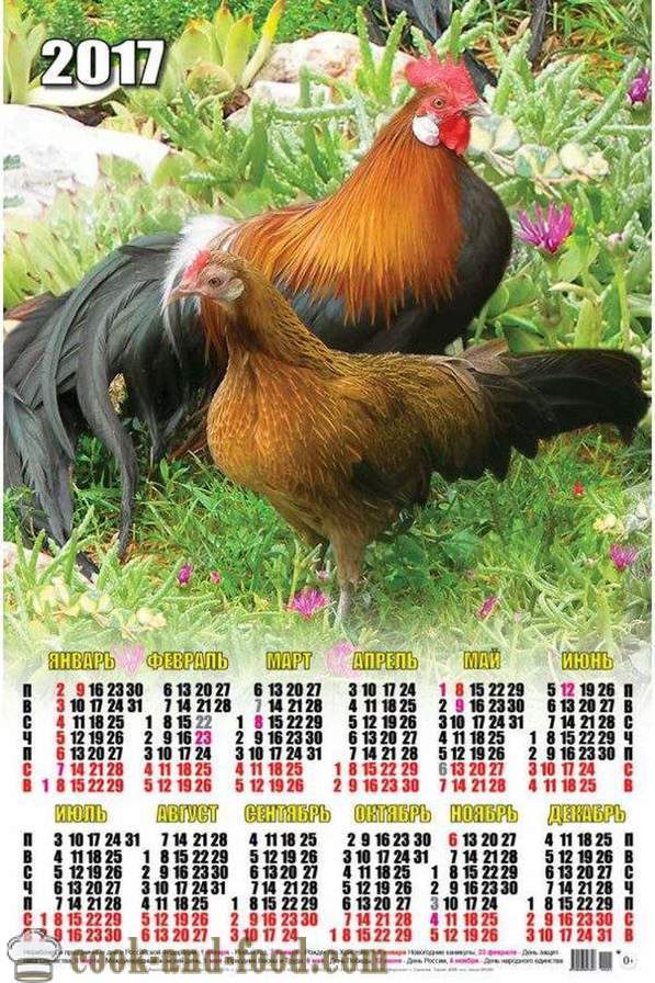 Kalendár pre rok 2017 Kohút: sťahujte zadarmo vianočný kalendár s kohútmi