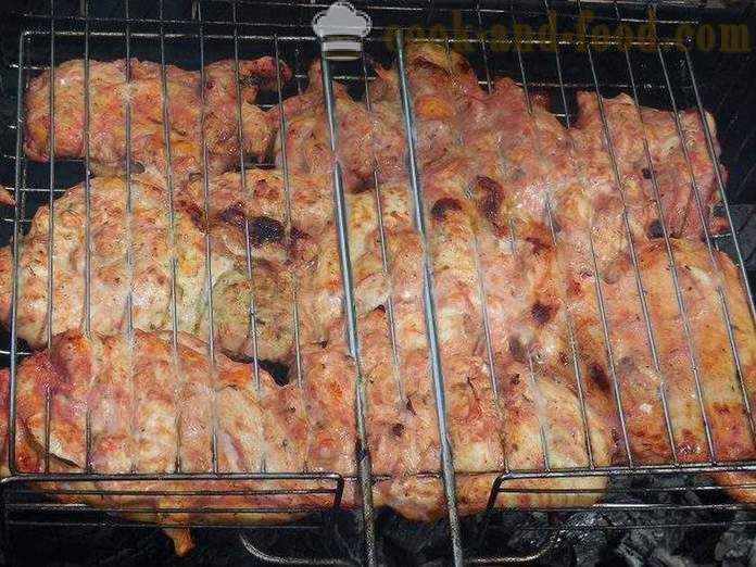 Grilovanie kurča na grile - chutné a šťavnaté špízy s kuracím mäsom v paradajkovej omáčke - krok za krokom recept fotografiách