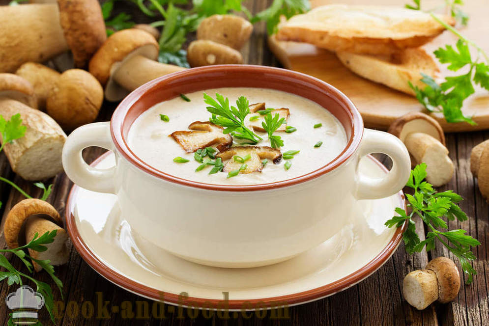 Biela hubová polievka: dva recepty na chutné pokrmy